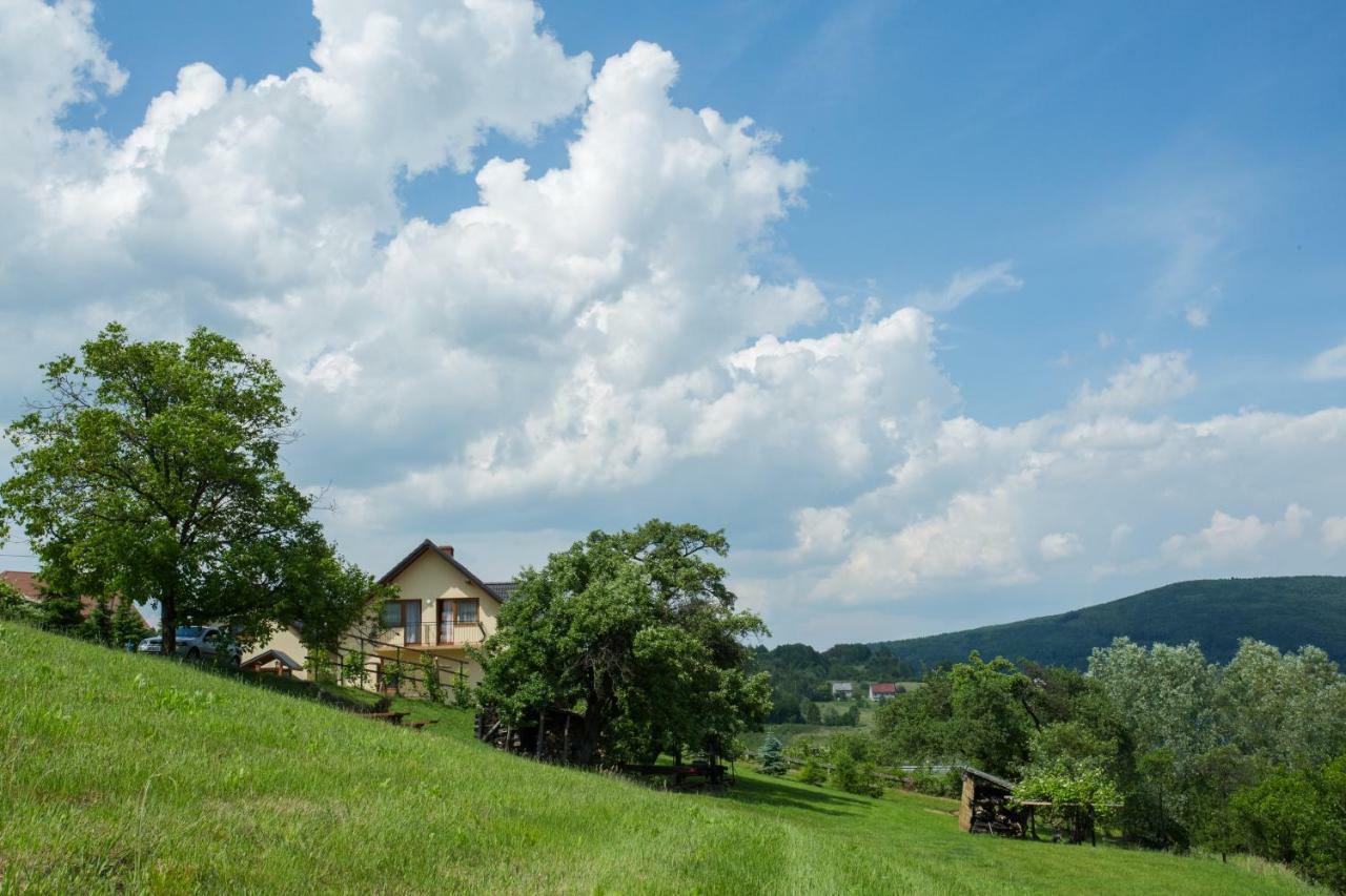 Nad Zalewem Villa Jaszczurowa Exterior foto